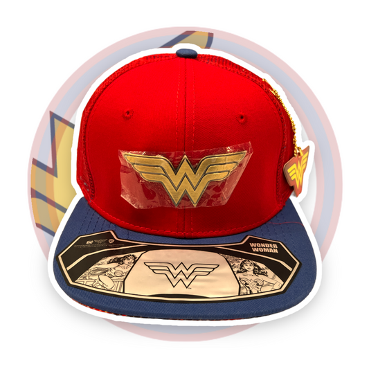 Gorra Premium Placa de Metal / DC Comics